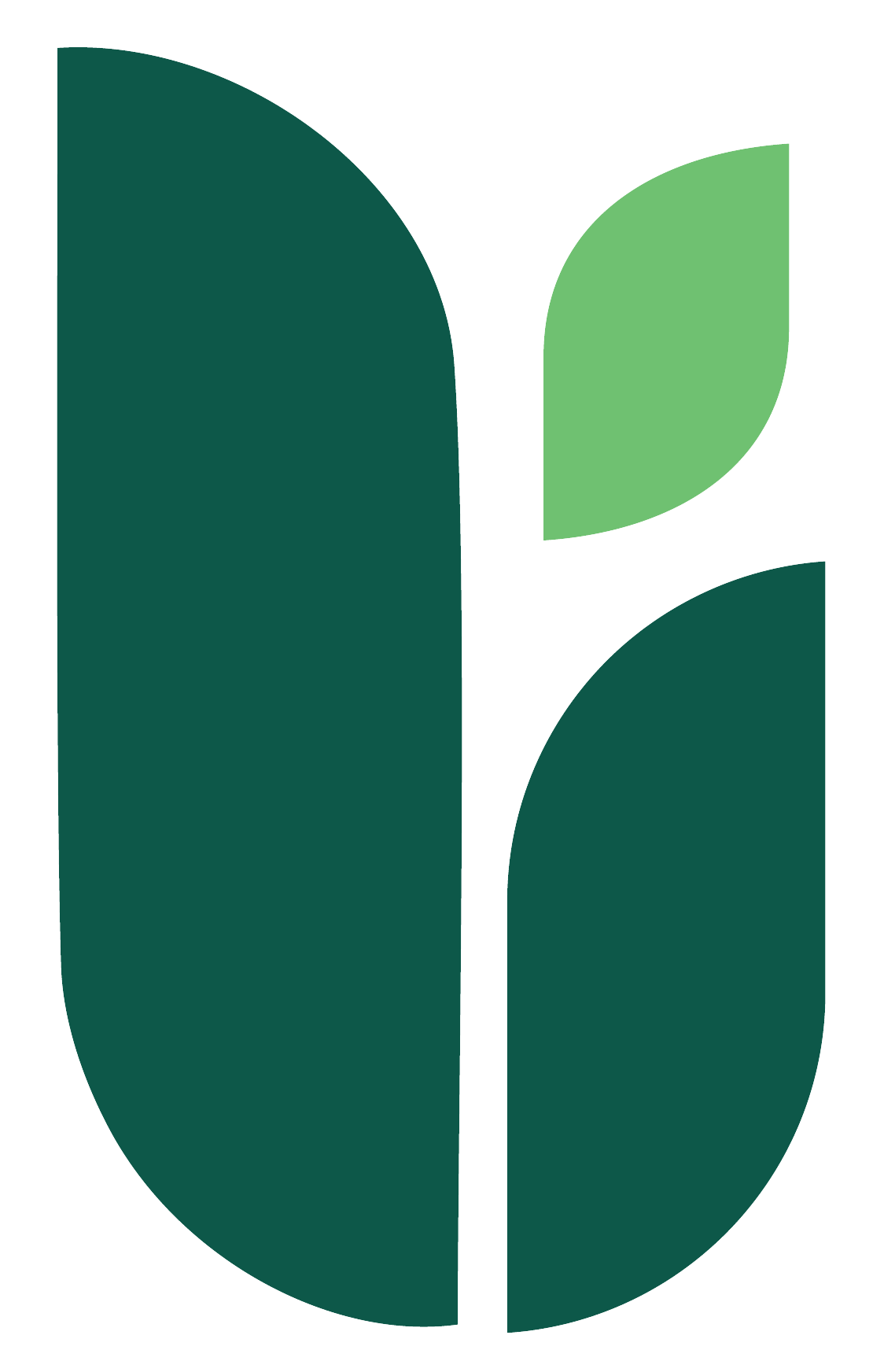 EFB